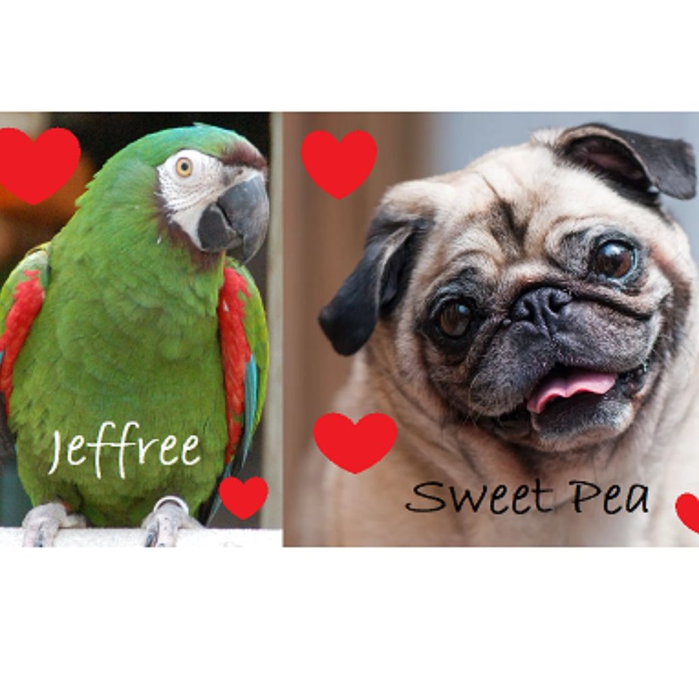 Meet your Posher, Drew